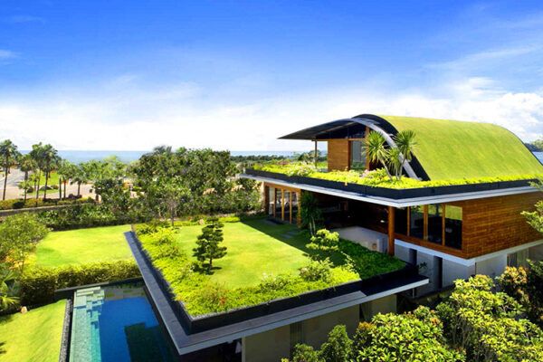 Green Living Paradise: Eco-Friendly Home and Garden Ideas for Sustainable Living