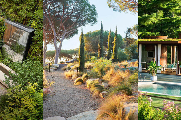 Seasonal Splendor: Discover the Latest Trends in Home and Garden Design for Every Time of Year