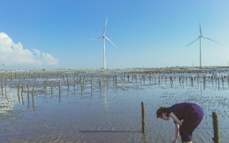 which is a sustainable practice? operating wind farms clear cutting flood irrigation overfishing