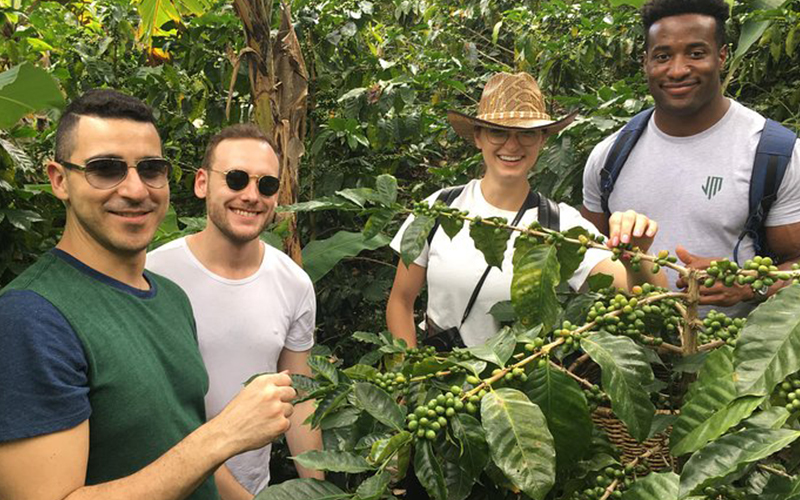 mejores visitas guiadas por cafeterías y teterías bogotá