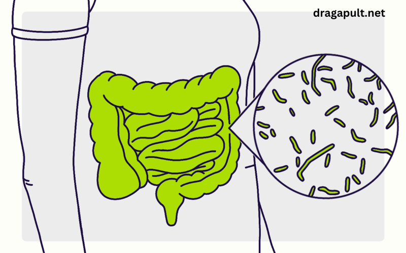 CDC Guidelines and Preventive Measures for Diarrhea