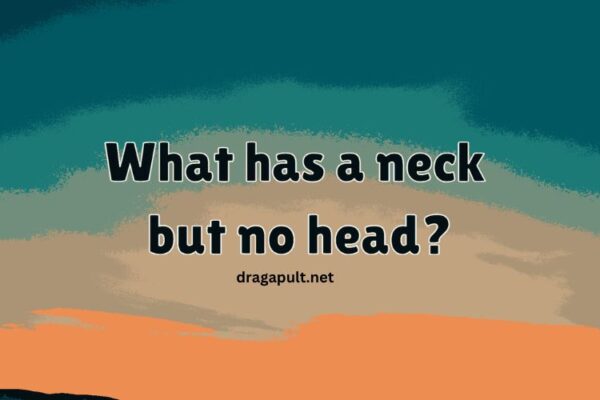 What Has a Neck but No Head