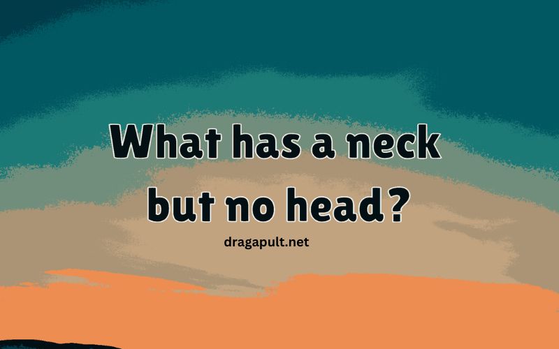 What Has a Neck but No Head